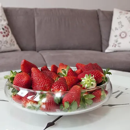 公寓 多瑙河景极光公寓 布达佩斯