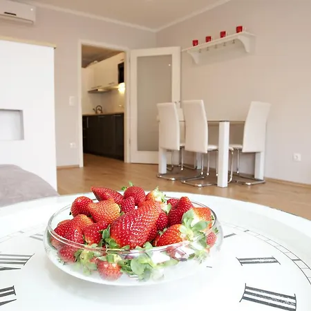 아파트 Aurora Danube View *