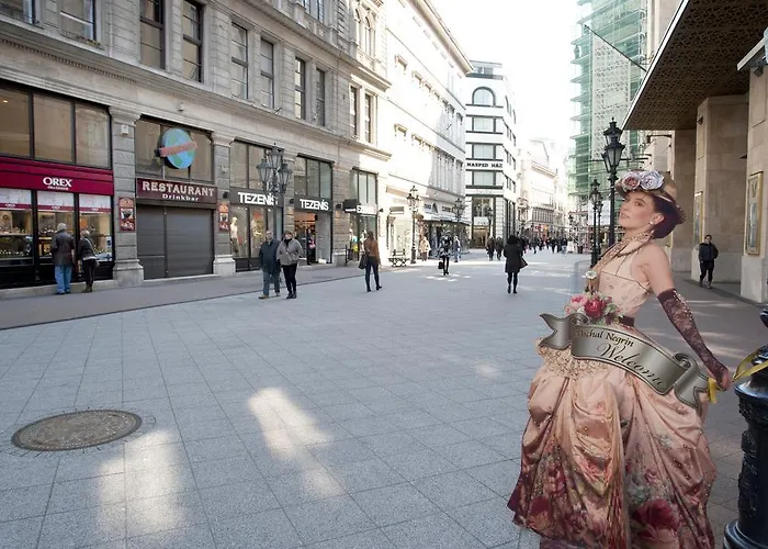 Apartament Aurora Danube View *